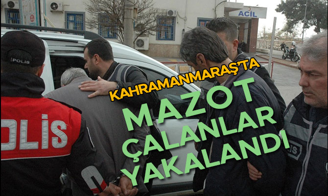 KAHRAMANMARAŞ’TA MAZOT ÇALANLAR YAKALANDI