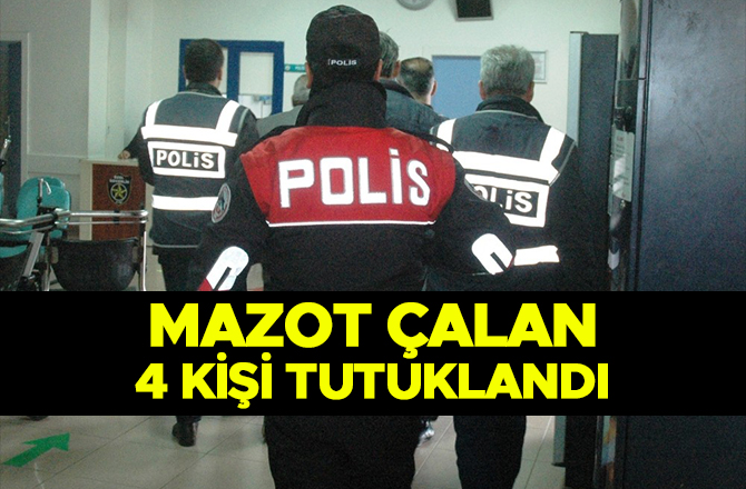 MAZOT HIRSIZLARI TUTUKLANDI