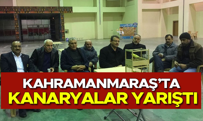 KAHRAMANMARAŞ’TA KANARYALAR YARIŞTI