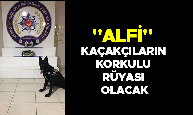 "ALFİ" KAÇAKÇILARIN KORKULU RÜYASI OLACAK