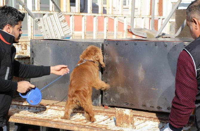 DETERJANLI ÖNLEM NARKOTİK KÖPEĞİNDEN KAÇMADI