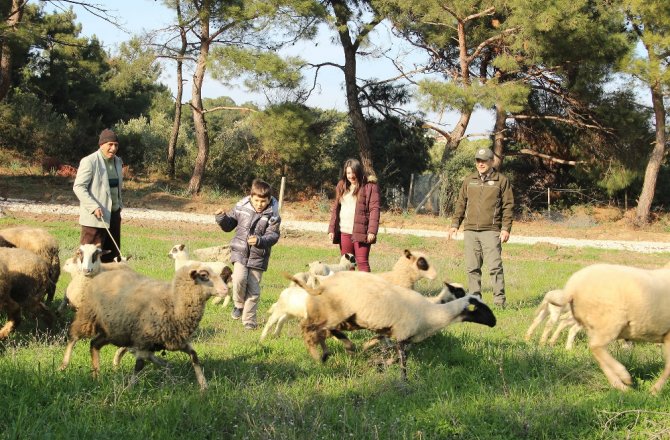 Babanın mesleği otizmli çocuğa terapi oldu