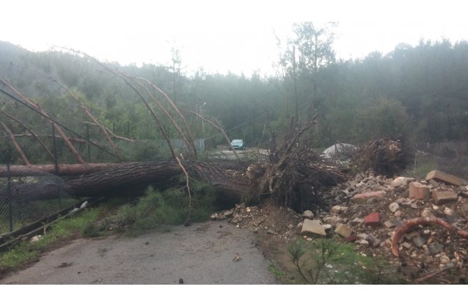 Antalya şiddetli fırtınaya teslim oldu