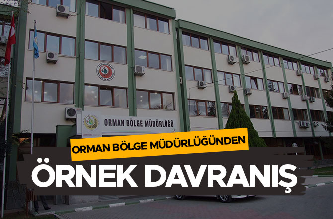 KAHRAMANMARAŞ ORMAN BÖLGE MÜDÜRLÜĞÜNDEN ÖRNEK DAVRANIŞ