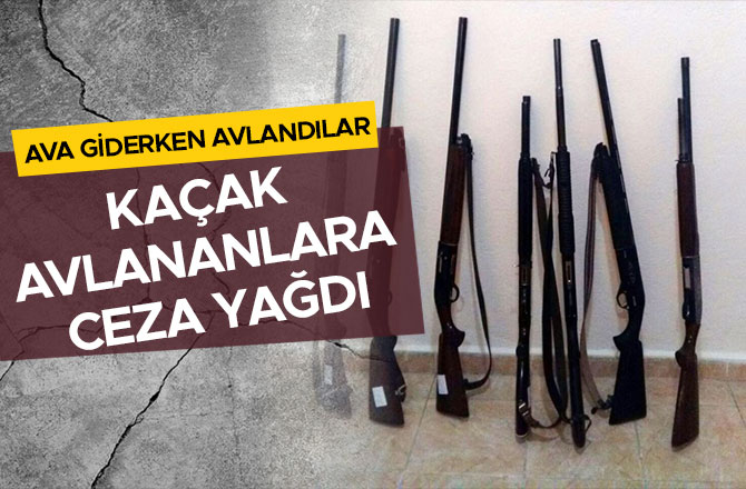 AVA GİDERKEN AVLANDILAR! KAÇAK AVLANANLARA CEZA YAĞDI