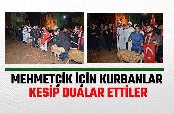 MEHMETÇİK İÇİN KURBANLAR KESİP DUALAR ETTİLER