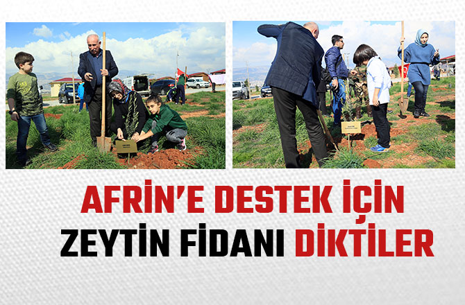 AFRİN’E DESTEK İÇİN ZEYTİN FİDANI DİKTİLER