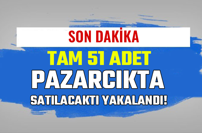 PAZARCIKTA SATILACAKTI YAKALANDI! TAM 51 ADET