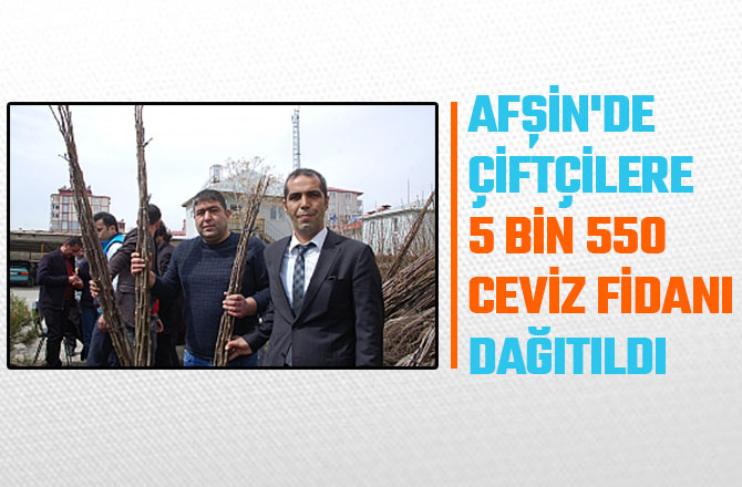 AFŞİN'DE ÇİFTÇİLERE 5 BİN 550 CEVİZ FİDANI DAĞITILDI