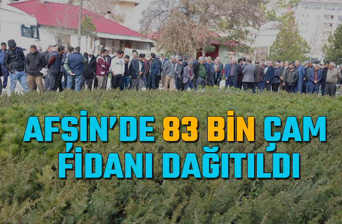 AFŞİN’DE 83 BİN ÇAM FİDANI DAĞITILDI