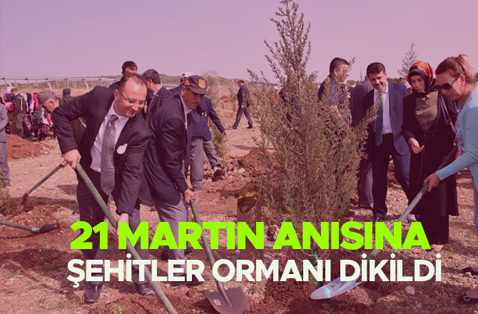 21 MARTIN ANISINA ŞEHİTLER ORMANI DİKİLDİ