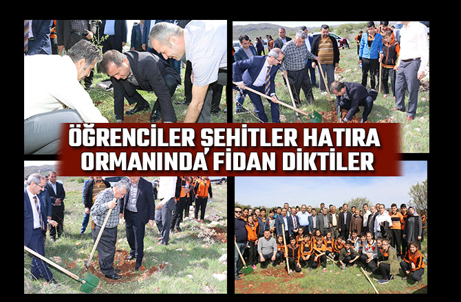 ÖĞRENCİLER ŞEHİTLER HATIRA ORMANINDA FİDAN DİKTİLER