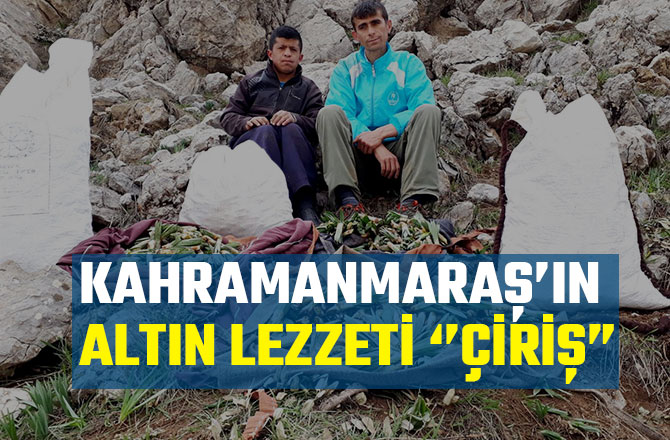 KAHRAMANMARAŞ’IN ALTIN LEZZETİ ‘’ÇİRİŞ