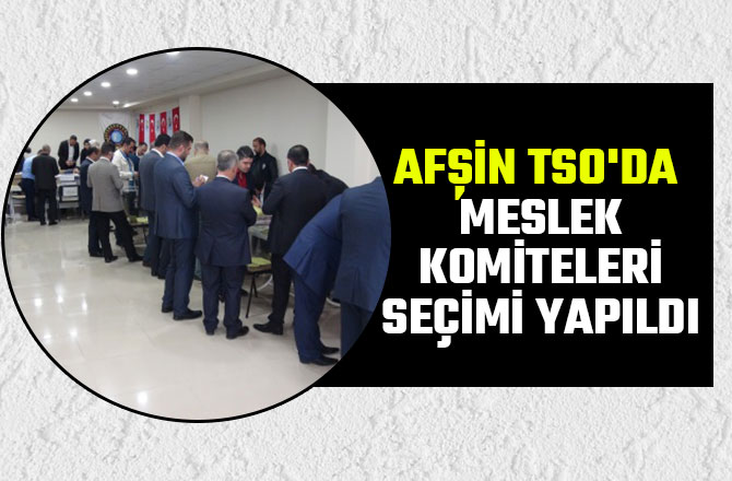 AFŞİN TSO'DA MESLEK KOMİTELERİ SEÇİMİ YAPILDI