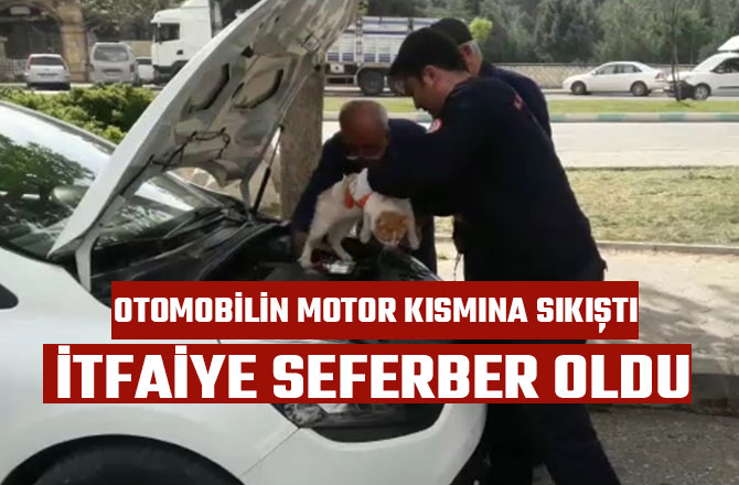 OTOMOBİLİN MOTOR KISMINA SIKIŞTI İTFAİYE SEFERBER OLDU