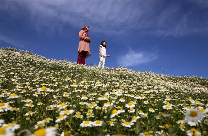 HAVA SICAKLIKLARI MEVSİM NORMALLERİ ÜZERİNDE SEYREDECEK