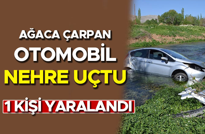 AĞACA ÇARPAN OTOMOBİL NEHRE UÇTU