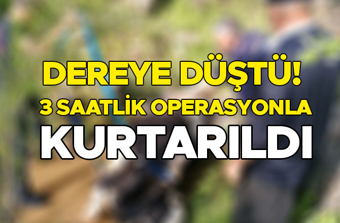 DEREYE DÜŞTÜ! 3 SAATLİK OPERASYONLA KURTARILDI