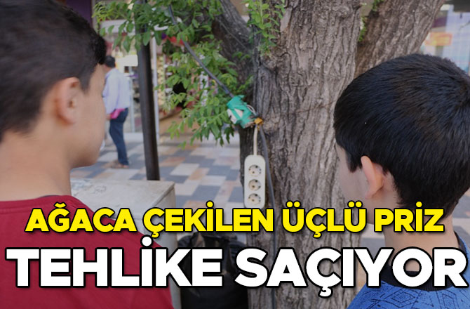 AĞACA ÇEKİLEN ÜÇLÜ PRİZ TEHLİKE SAÇIYOR