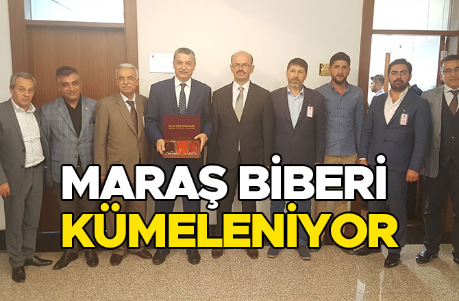 MARAŞ BİBERİ KÜMELENİYOR