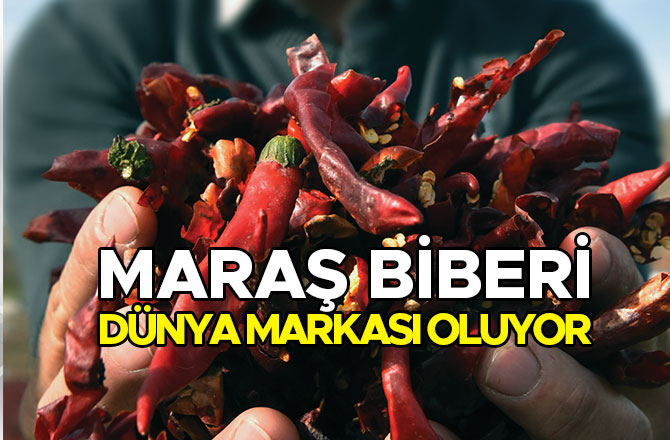 MARAŞ BİBERİ DÜNYA MARKASI OLUYOR