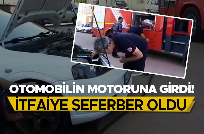 OTOMOBİLİN MOTORUNA GİRDİ! İTFAİYE SEFERBER OLDU