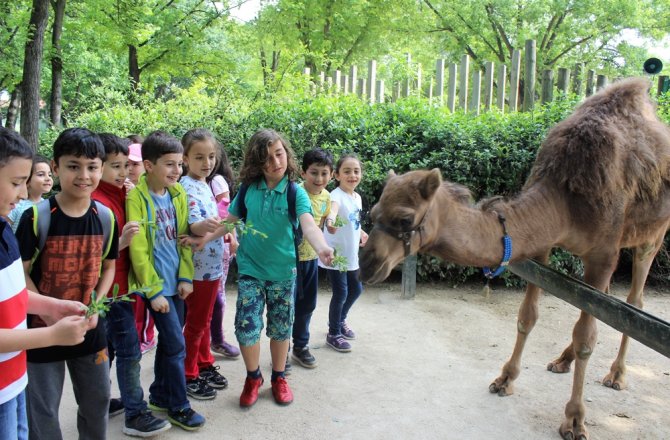 HAYVANAT BAHÇESİNİN BEBEK ÜYELERİ İLGİ ODAĞI OLDU