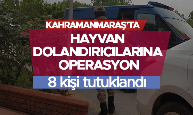 HAYVAN DOLANDIRICISI 8 KİŞİ TUTUKLANDI