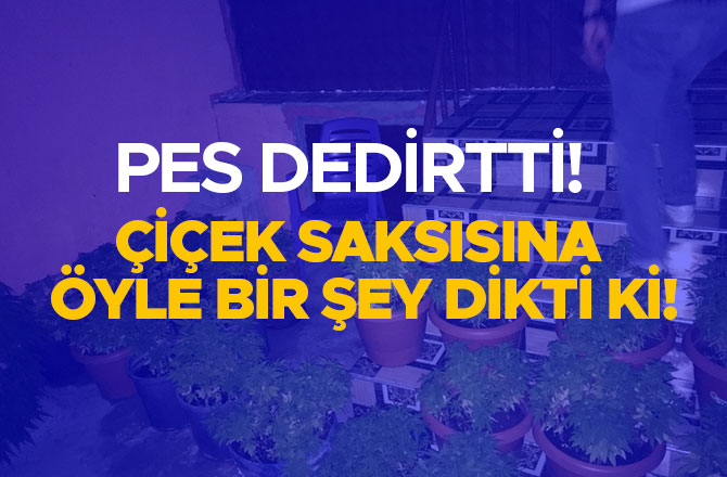 ÇİÇEK SAKSISINA ÖYLE BİR ŞEY DİKTİ Kİ! PES DEDİRTTİ