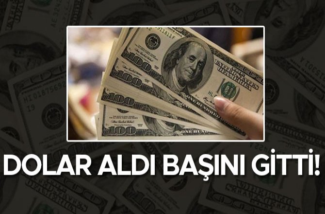 DOLAR ALDI BAŞINI GİTTİ!