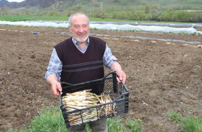 KÖYÜNE DÖNEN GURBETÇİ KUŞKONMAZ ÜRETİMİNE BAŞLADI