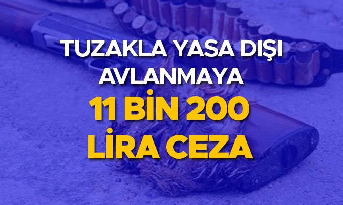 TUZAKLA YASA DIŞI AVA 11 BİN 200 LİRA CEZA