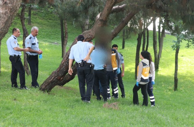 AĞACA ASILI CESET BULUNDU