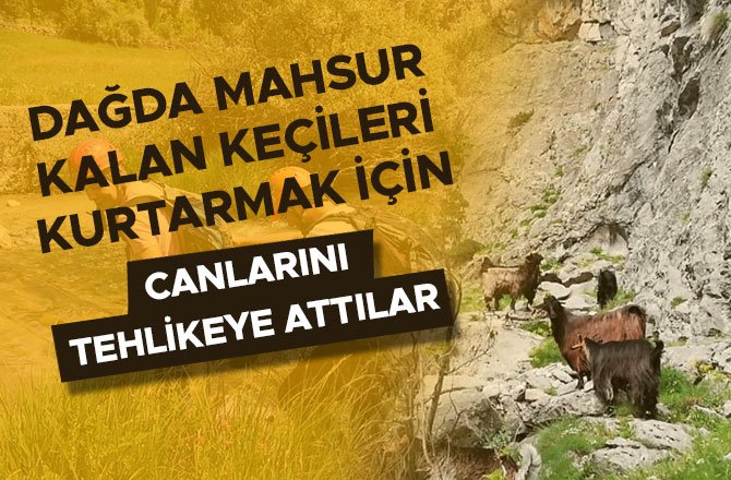 DAĞDA MAHSUR KALAN KEÇİLERİ KURTARMAK İÇİN CANLARINI TEHLİKEYE ATTILAR