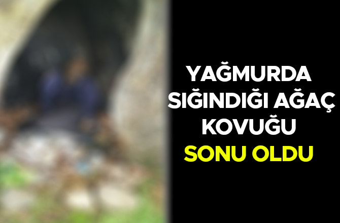 YAĞMURDA SIĞINDIĞI AĞAÇ KOVUĞU SONU OLDU