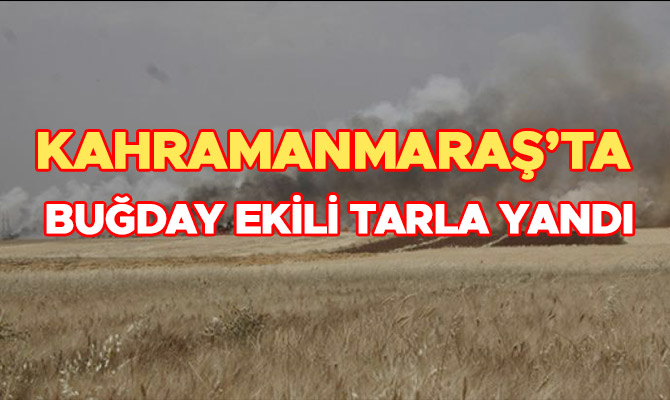 KAHRAMANMARAŞ’TA BUĞDAY EKİLİ TARLA YANDI