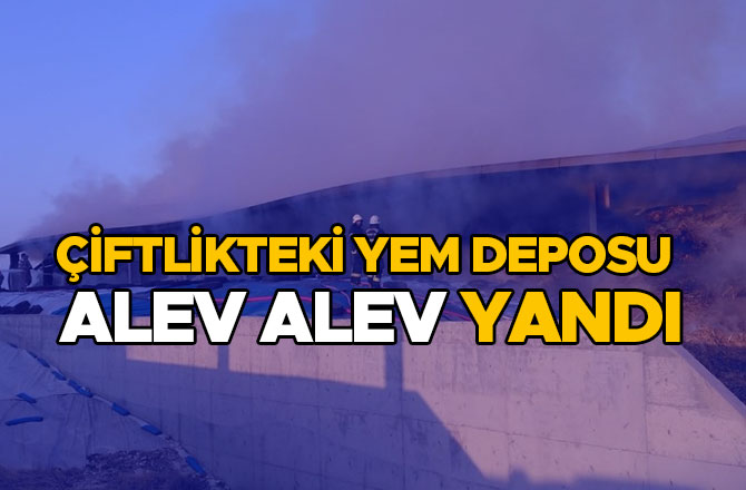 Çiftlikteki yem deposu alev alev yandı