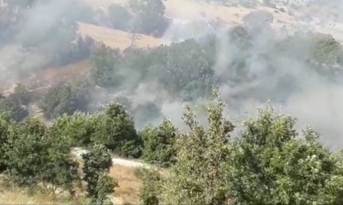 Kahramanmaraş’ta buğday tarlası yandı