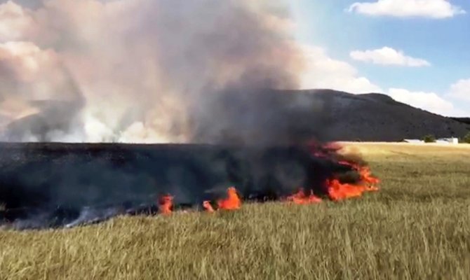 Kahramanmaraş’ta arpa tarlası yanarak kül oldu 