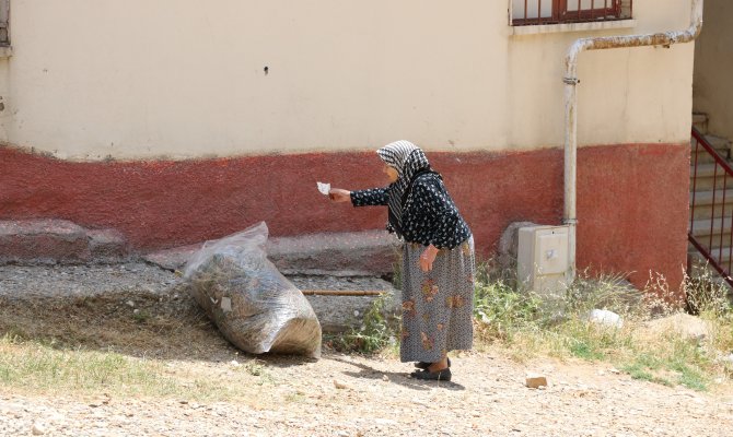 Nazmiye nineden "çevre temizliğinde" örnek davranış