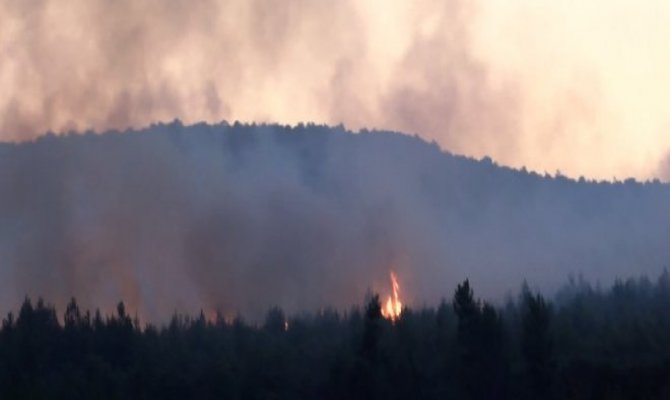 Kahramanmaraş'ta orman yangını! Müdahale devam ediyor