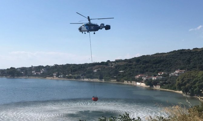 Yol kenarında başlayan yangın ormanlık alana sıçradı