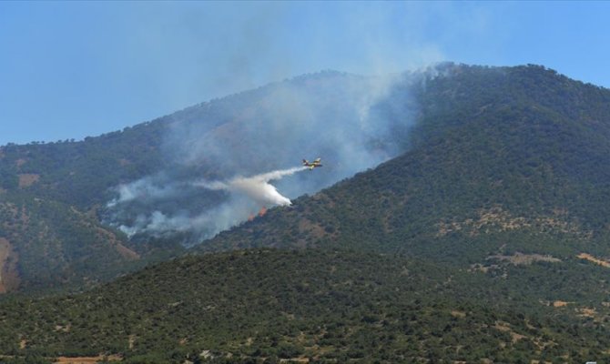 Kahramanmaraş'ta 2 hektarlık örtü yandı