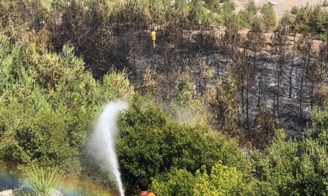 Kahramanmaraş'ta korkutan yangın