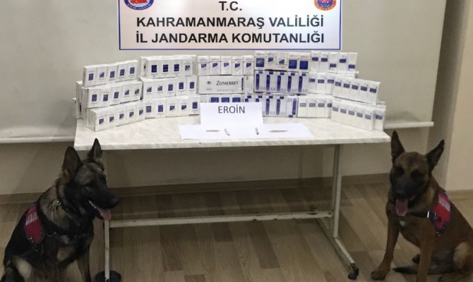 Jandarma aranan 12 kişiyi yakaladı