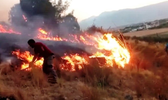 Kahramanmaraş’ta orman yangını