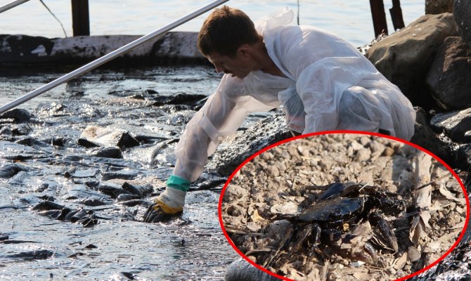 Foça’da denizdeki kirlilik havadan görüntülendi