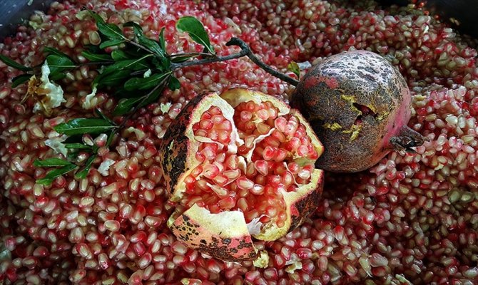 Rusya'dan narenciye ve nar için yoğun talep