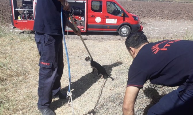 Kahramanmaraş'ta sondaj borusuna düşen kedi kurtarıldı