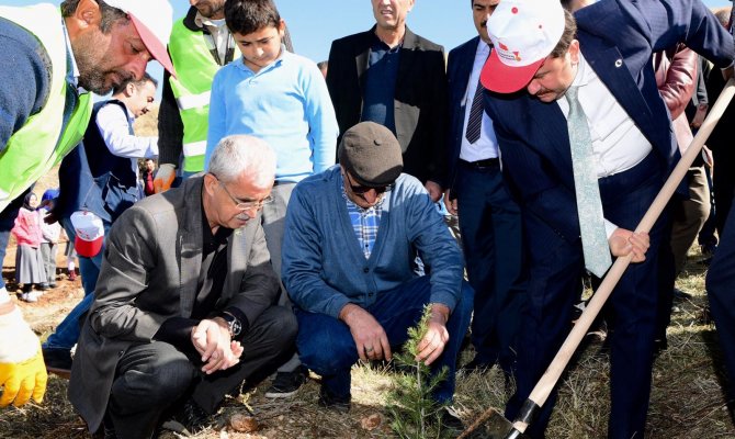 Sizin de Bir Dikili Ağacınız Olsun